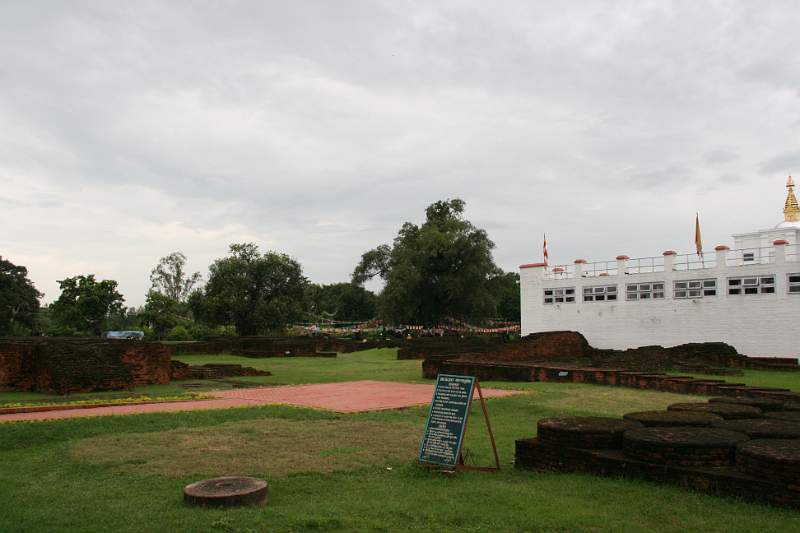 India & Nepal 2011 - 0653